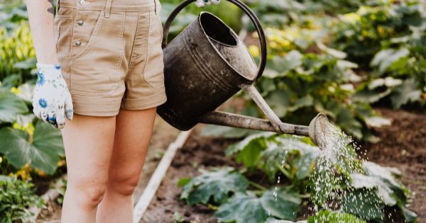 Liceele agricole vor primi investitii de 44 milioane de euro