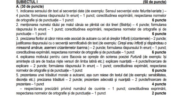 Rezolvarea subiectelor la Limba romana la Bacalaureat 2022, sesiunea de toamna