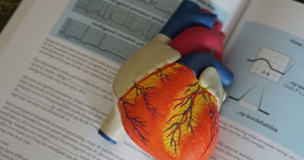 Bacalaureat 2024: Modele de teste rezolvate la proba de Anatomie