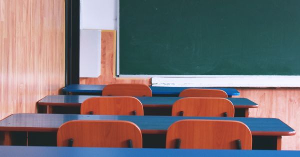 Ministerul Educatiei, reactie la perchezitiile de la scoala din Ilfov. "Elevii sa fie tratati cu blandete si cu tact pedagogic"