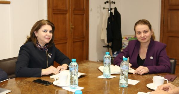 Liceele pedagogice si Centrele de Resurse si Asistenta Educationala NU se desfiinteaza, anunta Monica Anisie
