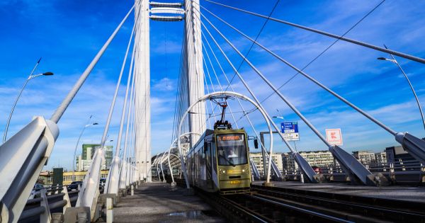 Elevii care beneficiaza de gratuitate pentru transportul public NU primesc suma forfetara, anunta Inspectoratul Scolar Judetean Ilfov