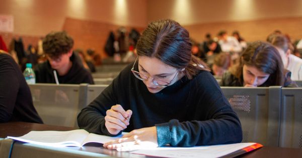 Simulare Admitere 2023 la Universitatea de Medicina, Farmacie, Stiinte si Tehnologie din Targu-Mures