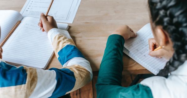 Peste 15.000 de copii nu si-au primit voucherele educationale de 500 de lei. Explicatiile ministrului Marcel Bolos