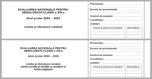 Eroare la simularea Evaluarii Nationale. Elevii unei scoli din Arges au primit la Romana subiectele pentru elevii maghiari