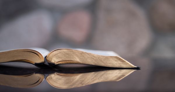 "Elevul NU trebuie retras de la ora de Religie, ci inscris la ora de Religie", transmite Fepal