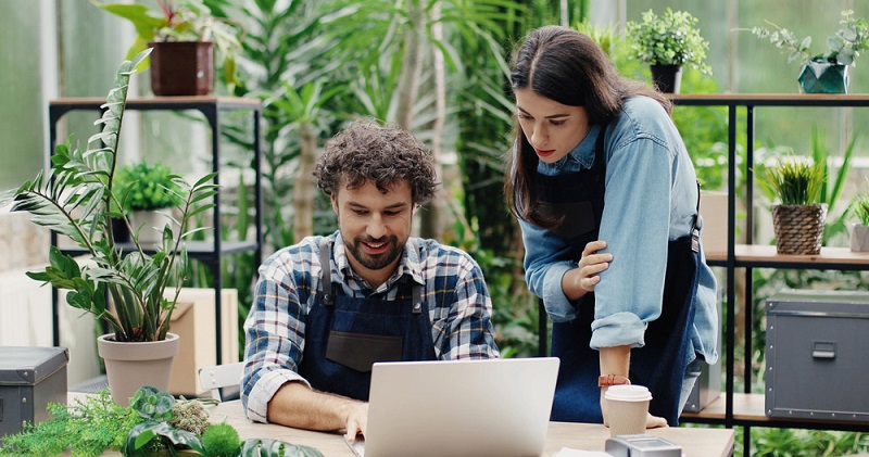 4 solutii prin care iti poti transforma start-upul intr-un business de succes