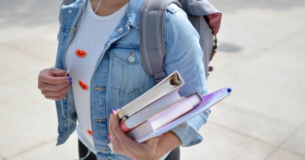 Grupe de acomodare pentru elevii intorsi in tara: inscrieri, constituirea grupelor si precizari despre plata profesorilor