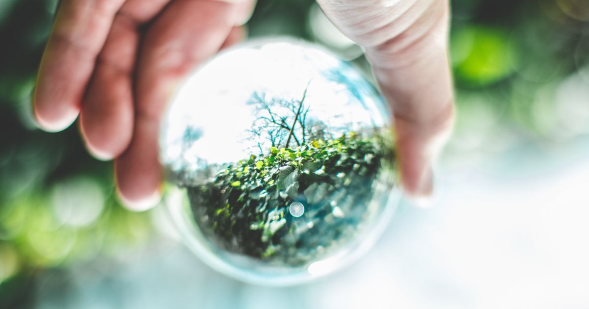 Saptamana verde 2025: Metodologie, finantare si idei de activitati