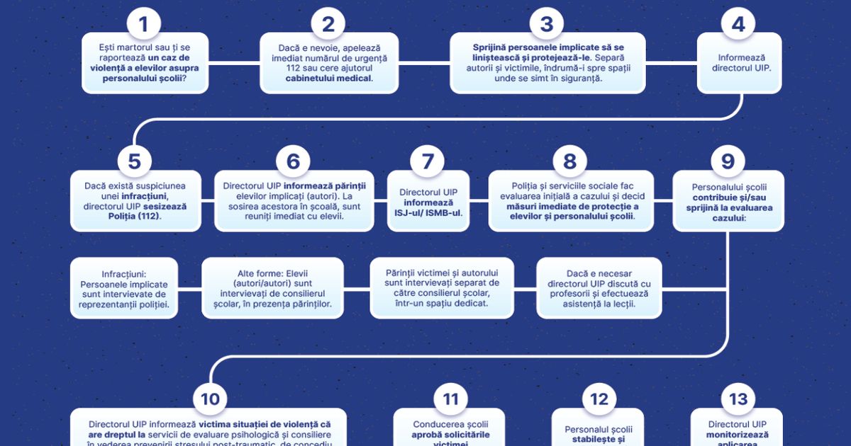 Cum trebuie gestionate cazurile de violenta in scoli si cand trebuie chemata Politia. INFOGRAFICE publicate de Ministerul Educatiei