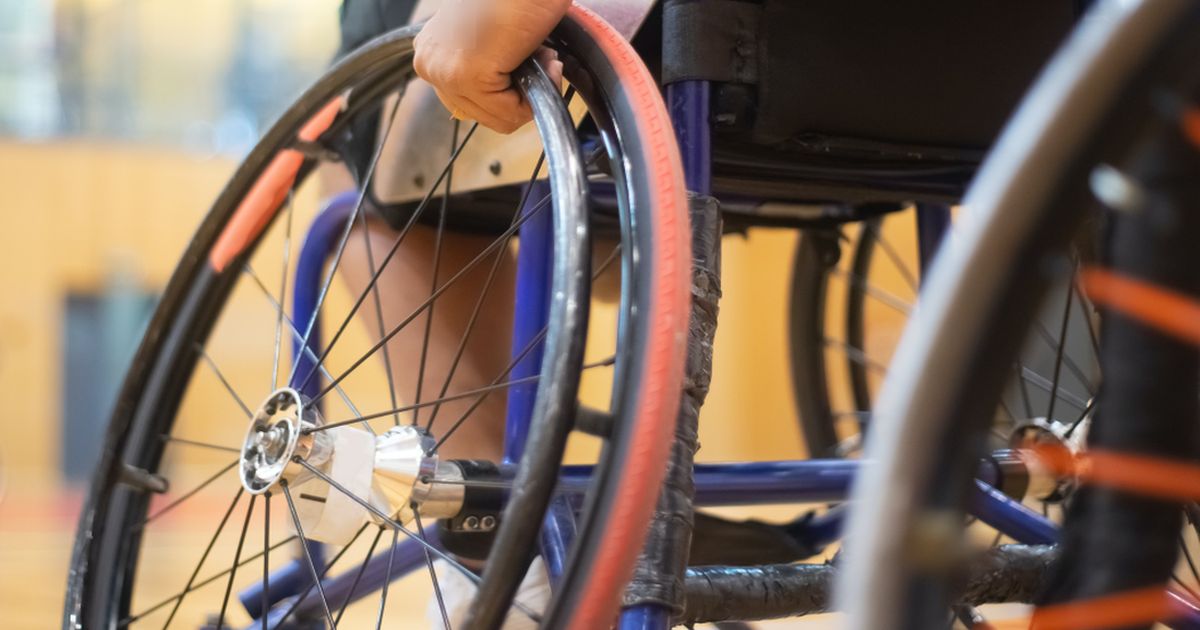 Scolile, somate sa elimine barierele care impiedica accesul la educatie al elevilor cu dizabilitati. ANUNT de la Ministerul Educatiei