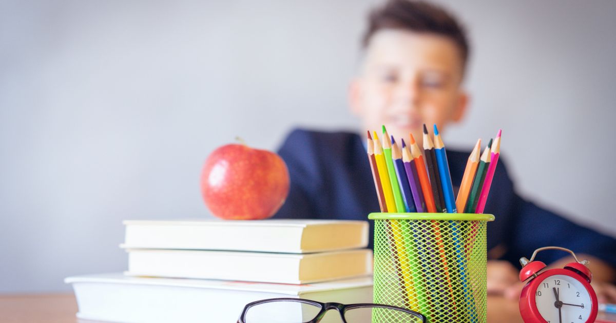 Aproape 460.000 de elevi iau bursa de merit. Aceasta "inlocuieste si bursa de studiu" din vechea lege, anunta Ministerul Educatiei