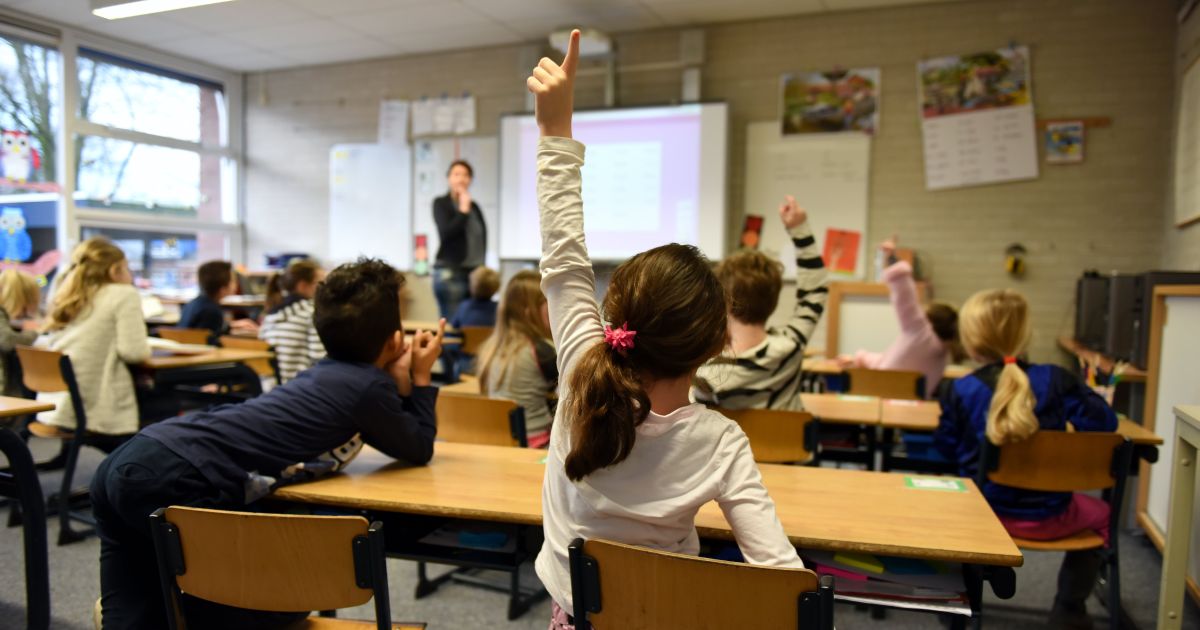 Profesorii pot ramane la titulari pana la 70 de ani, din anul scolar 2024-2025, in anumite conditii. Cererile se depun pana pe 29 ianuarie 2024