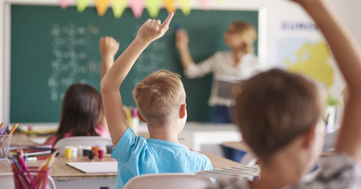 Salariile profesorilor nu vor creste 