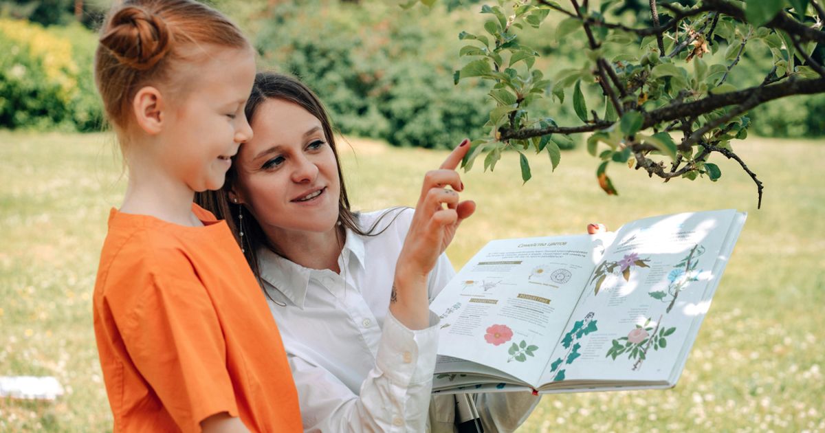 Scolile trebuie sa se inscrie la ISJ-uri pentru a primi banii alocati Programului "Saptamana Verde". Vezi Activitatile eligibile