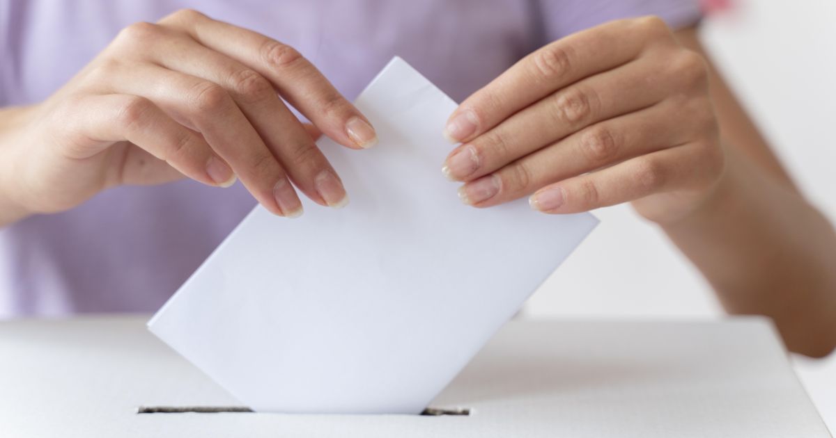 "Mergeti acasa sa votati!". Cursuri online inainte si dupa alegerile parlamentare, pentru a incuraja votul studentilor