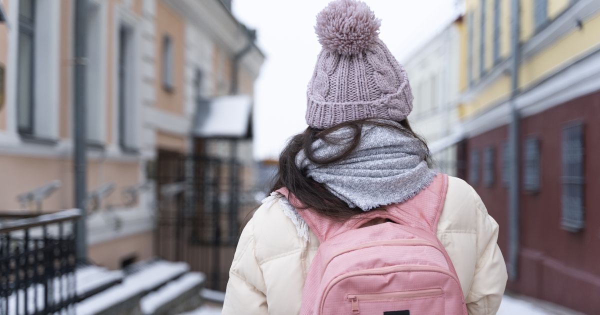 Vacanta februarie 2026: Termenul pana la care scolile trebuie sa anunte perioada aleasa pentru vacanta mobila