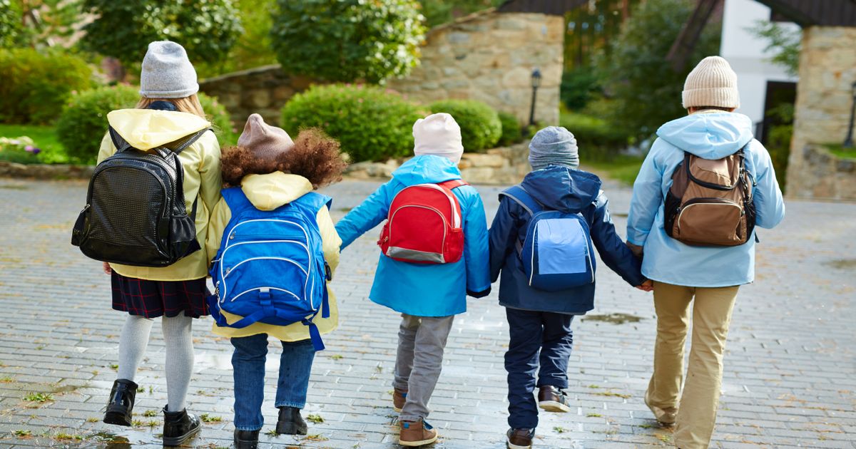 Ministrul Educatiei vrea o alta abordare la "Scoala Altfel" si "Saptamana Verde": "Nu mai putem sa facem excursii ca e frumos in excursii"
