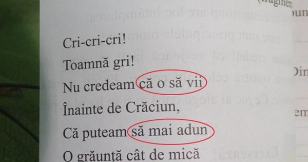 Poezie "masacrata". "Balada unui greier mic", modificata in manualul de Limba Romana