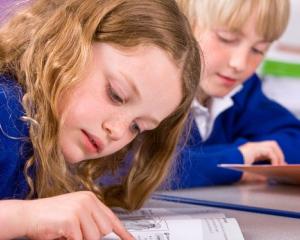 Burse gratuite de studii in SUA pentru elevii romani, prin programul FLEX