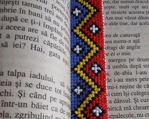 Copiii romani din diaspora nu mai invata limba romana. Ministrul Educatiei: "Putem trimite manuale de rezerva din depozite"