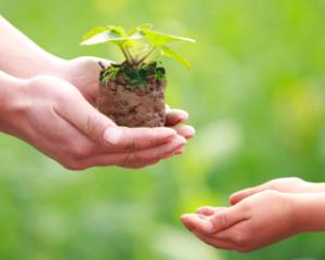 Incepe o noua editie a ECOlimpiadei, la care participa 9.000 de elevi din intreaga tara