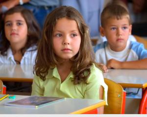 Proiect: Scolile si gradinitele pot organiza programe optionale pentru copii pe timpul vacantei de vara