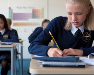 Parintii cer RECORECTAREA lucrarilor de la Evaluarea Nationala 2014. Scrisoarea in care o profesoara cere iertare elevilor pentru subiectele la romana