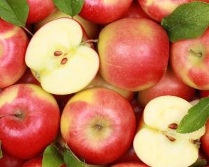OUG nr. 66/2016 modifica programul de incurajare a consumului de fructe proaspete in scoli
