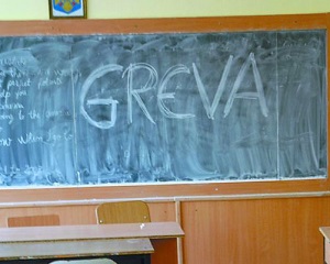 FSLI: Nu este legal sa se declanseze greva generala la nivelul tuturor sindicatelor afiliate