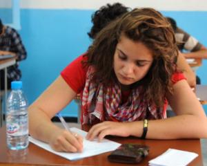 Bac 2014: Subiecte si barem de corectare limba materna