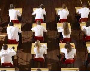 Evaluare Nationala 2014: Subiecte limba germana