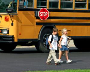 Guvernul va cumpara inca 750 de microbuze scolare