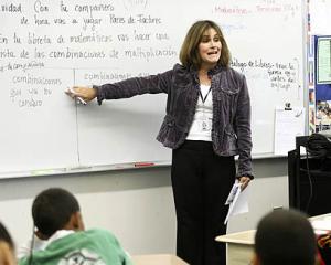 Propunere: reintroducerea sprijinului de 100 de euro pentru profesori