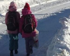 Scoli si gradinite inchise in Bucuresti luni si marti