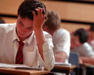 Evaluare Nationala 2014: subiecte simulare Limba Materna