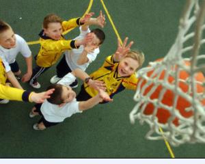 Ponta vrea terenuri de baschet in toate in scolile