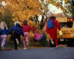 Suma pentru decontarea transportului elevilor, depasita cu 25% in 2012