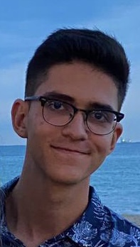 Darius Costea