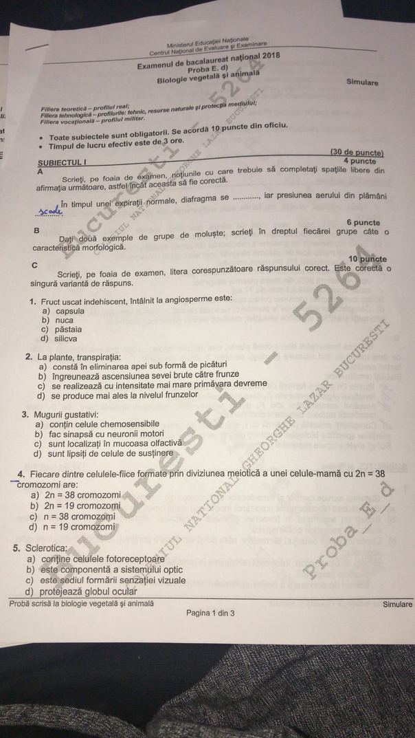 Simulare BAC 2018. Subiectele la disciplina aleasa de elevi